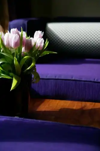 The Fitzwilliam - 13