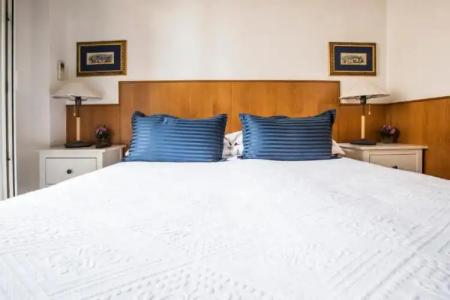 Pettinary Village B&B - 32