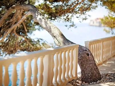 Grand Villa Argentina - 24