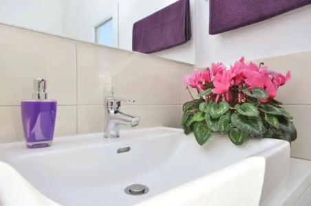 Villa Pinocchio - 10