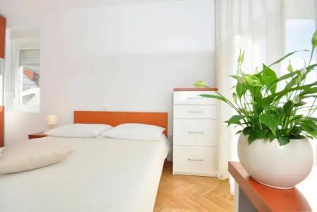 Villa Pinocchio - 30