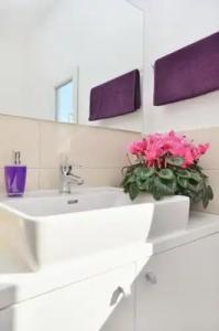 Villa Pinocchio - 56