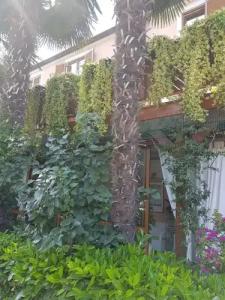 Boutique Santa Maria - 43