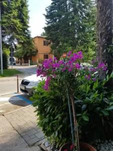 Boutique Santa Maria - 44