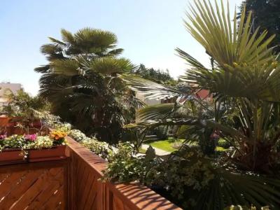 Boutique Santa Maria - 21