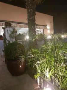 Boutique Santa Maria - 28