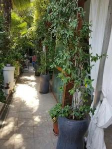 Boutique Santa Maria - 46