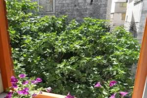 Villa Ruzica, Трогир