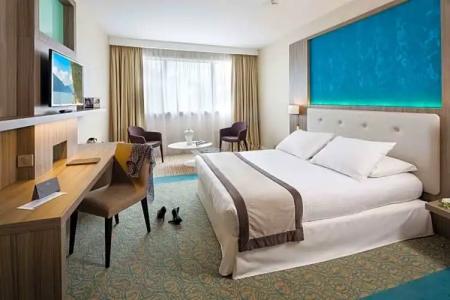 Golden Tulip Aix les Bains - & Spa - 116