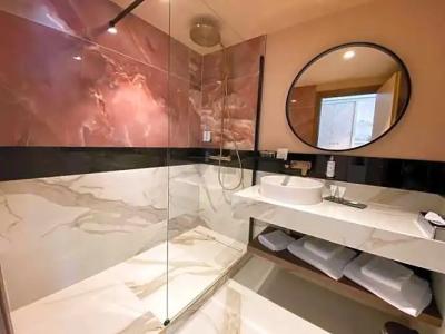 Golden Tulip Aix les Bains - & Spa - 109