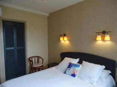 The Originals City, Hôtel Rive Droite, Albi (ex Cantepau) - 57