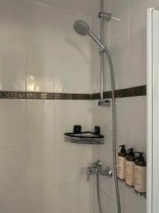 Château de Bellefontaine - 49