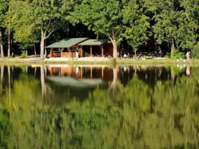 Guest House Tara - 10