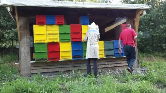 Guest House Tara - 13