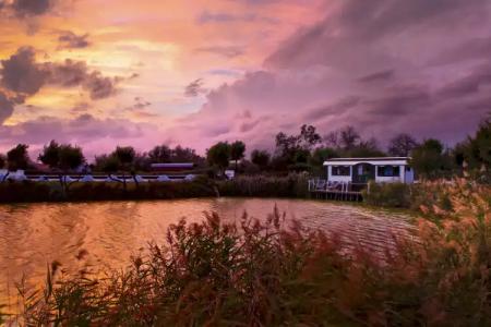 Mas de la Fouque - Hôtel & Spa - 19