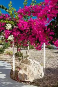 Sea Sound White Katikies - 32