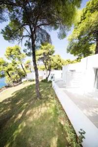 Marpunta Alonnisos - 139