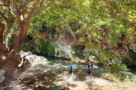 Alianthos Garden - 33