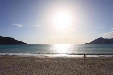 Alianthos Garden - 23