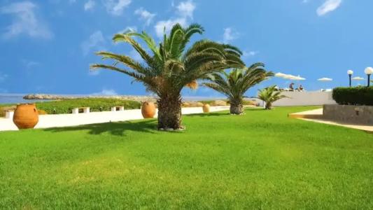 Nanakis Beach Luxury Apartments - 58