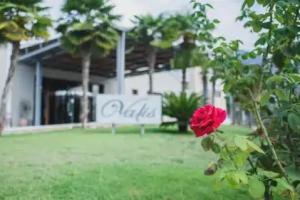 Valis Resort Hotel, Волос