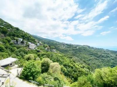 Archontika Karamarlis - 116