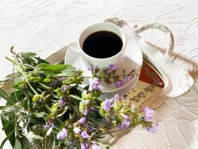 Archontika Karamarlis - 173