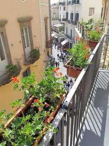 Antica Repubblica Amalfi - 110