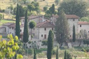 Borgo Bottaia, Грассина