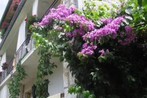 b&b Damian, Ровинь