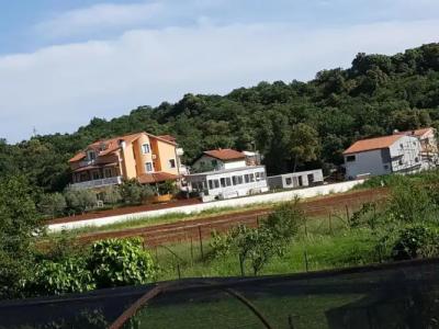 Šeherzada - 52