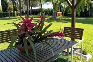 Hotel «Hermitage», Marina di Bibbona