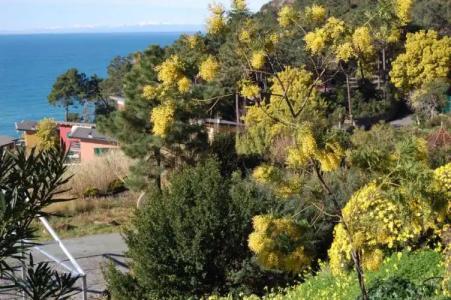 Resort La Francesca - 75