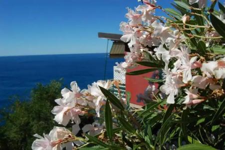 Resort La Francesca - 77