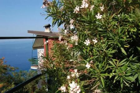 Resort La Francesca - 90