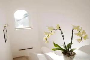 b&b Il Sogno, Анакапри