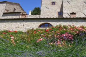 Отель «Borgo Di Pietrafitta Relais», Кастеллина-ин-Кьянти