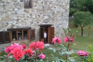 Hotel «Colle Etrusco Salivolpi», Кастеллина-ин-Кьянти