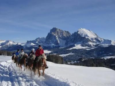 Alpina Dolomites - 14