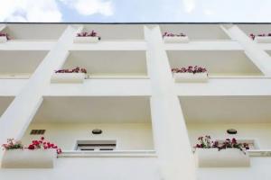 Hotel «Plaza», Каттолика