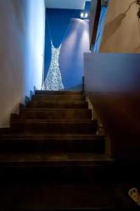 CasaDodici Boutique - 10