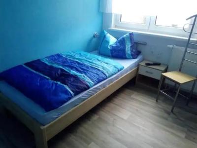 Pension zum Ringelberg - 20