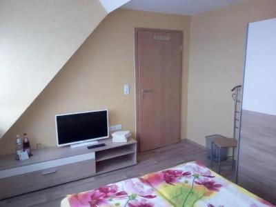 Pension zum Ringelberg - 43