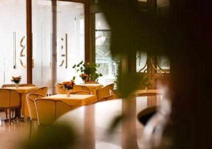 Grand Excelsior - 21