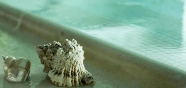 s Vidi Miramare & Delfino - 38