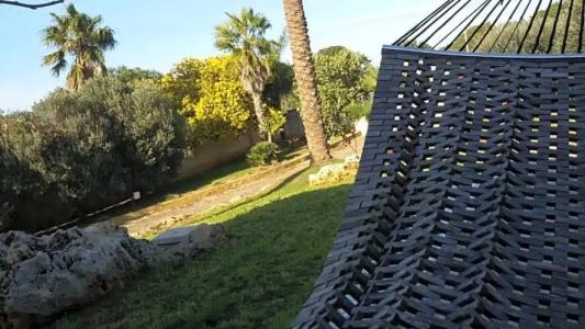 Villa Carlo Resort - 40