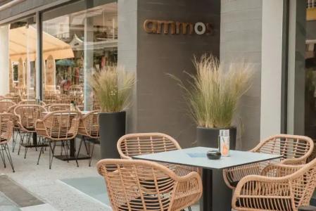 Ammos Beach Seaside Luxury Suites - 30