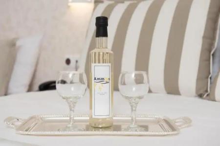 Ammos Beach Seaside Luxury Suites - 71