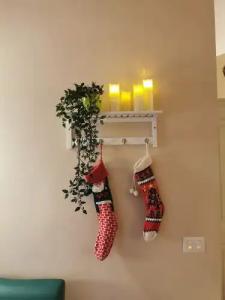 Bed & Breakfast Morelli 49 - 51