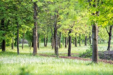 Terme Delle Nazioni - 29